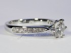 Polaris - Photo #2