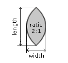Marquise Cut Ratio