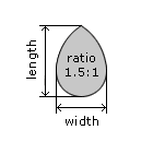 Pear Cut Ratio